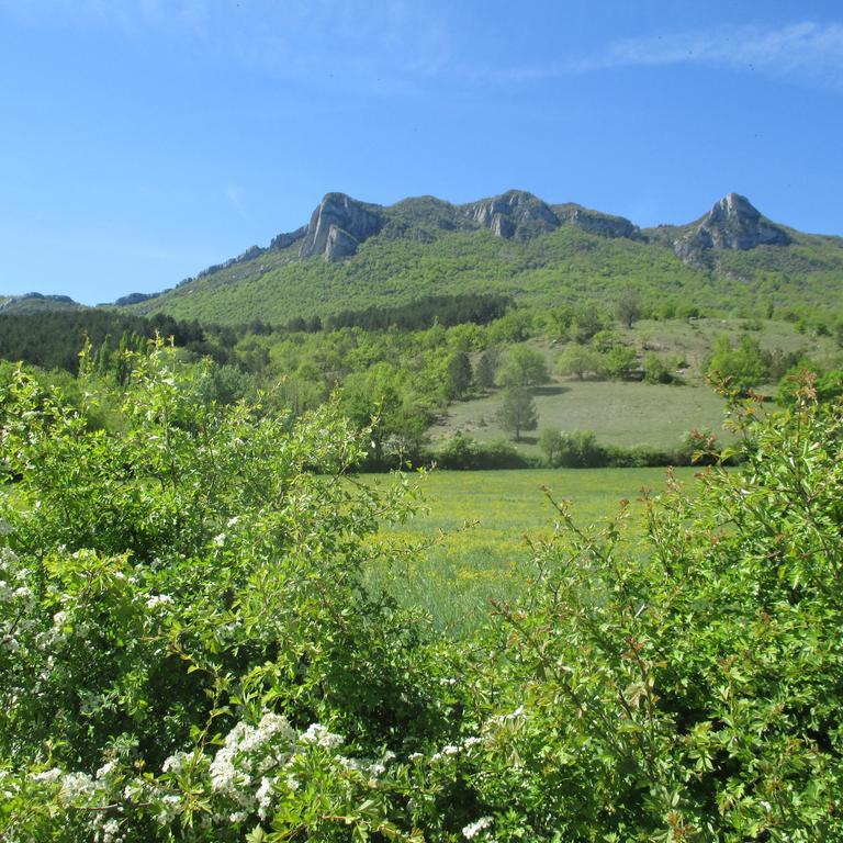 Appartement Entre Sisteron Et Gorges De La Meouge " Les Hauts De Toscane " Ribiers Exterior foto